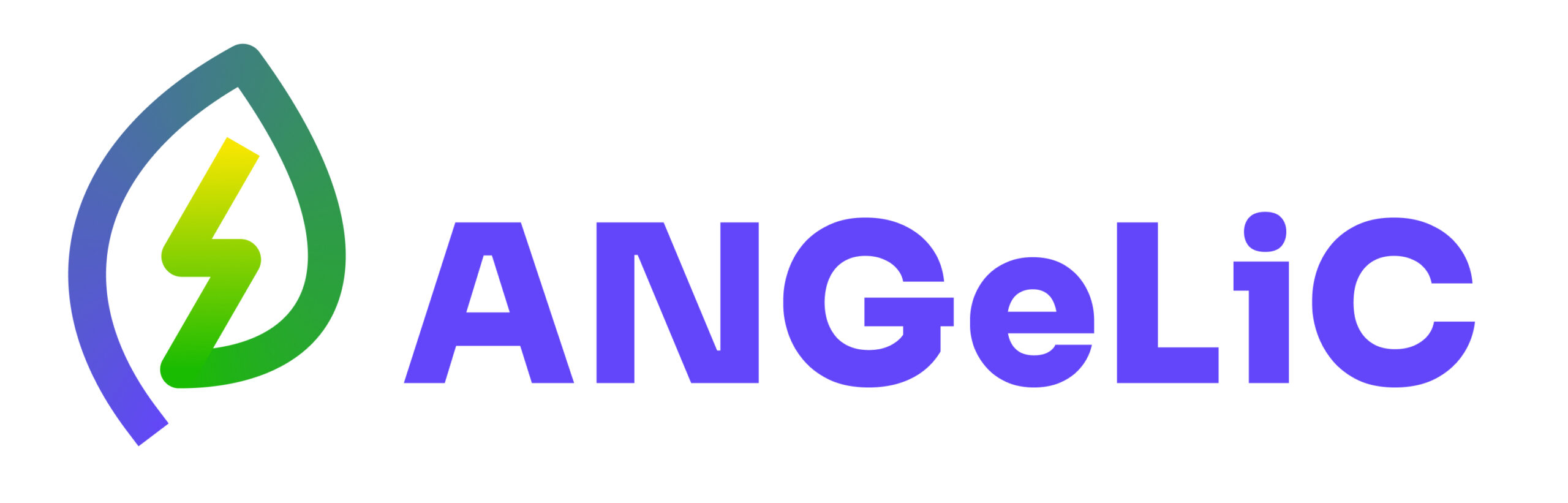 About - ANGeLiC